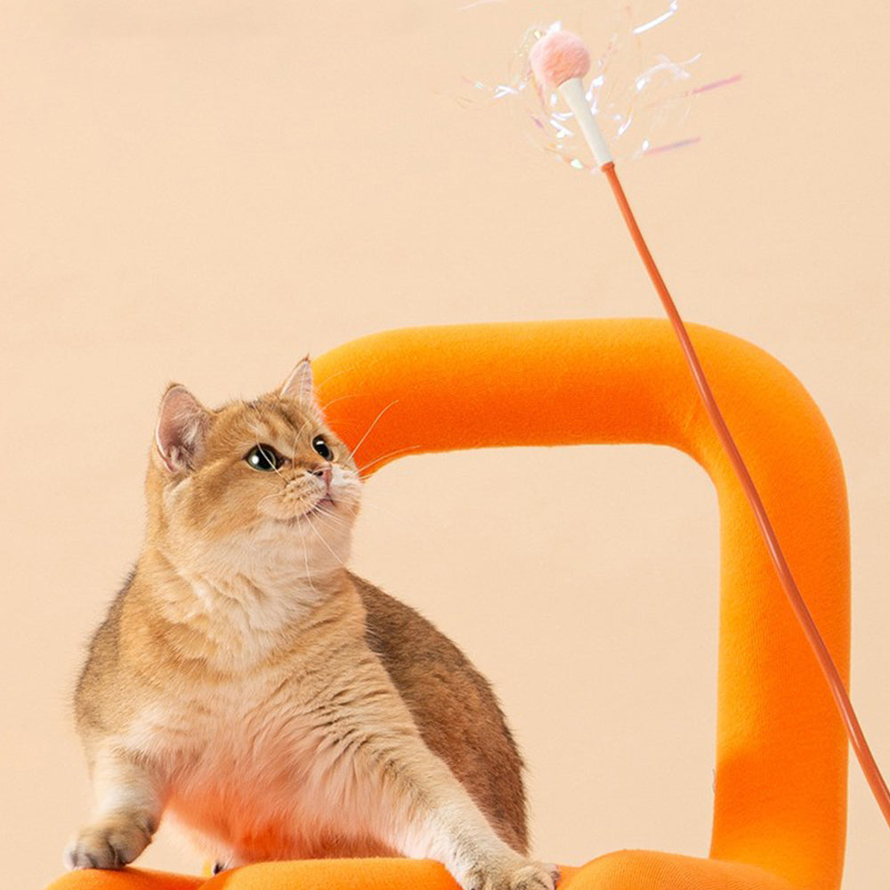 Orange Magic Cat Teaser lovepetin.com