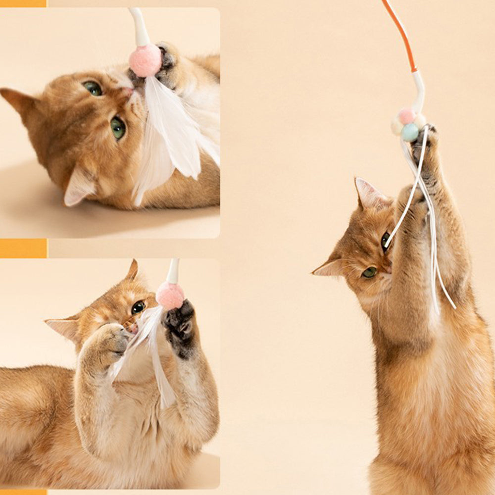 Orange Magic Cat Teaser lovepetin.com