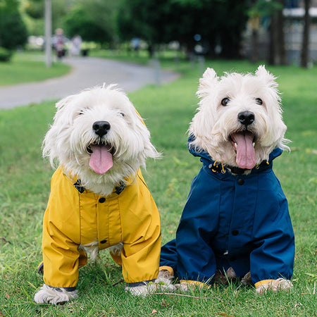 Outdoor Dog Raincoat with Reflective Tape lovepetin.com