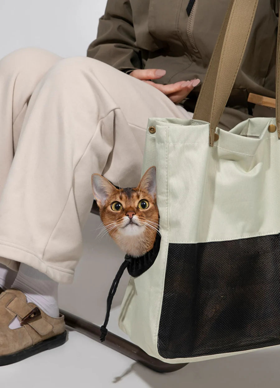 Outdoor Fashion Pet Travel Bag 1