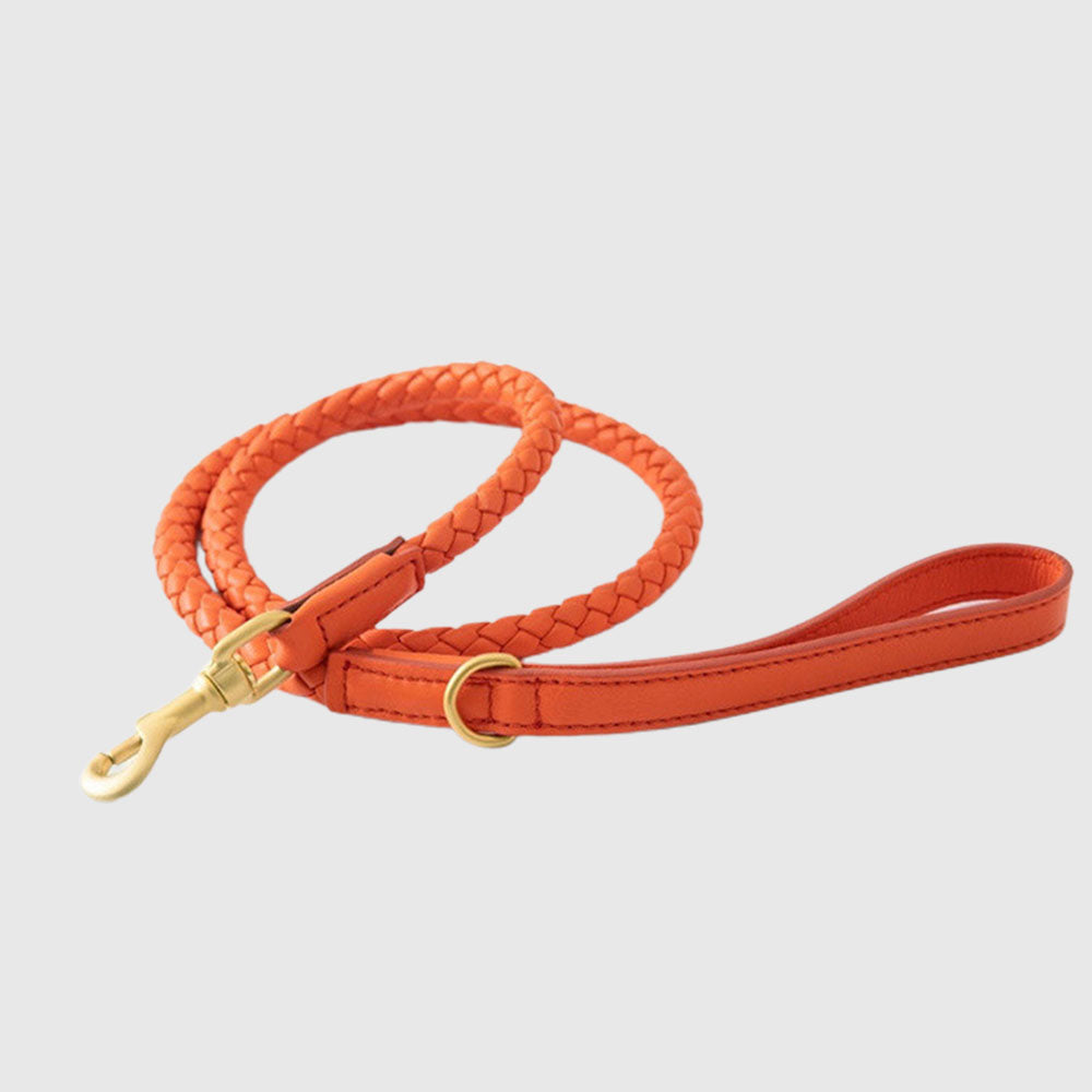 PU Leather Hand-woven Dog Collar&Leash Set lovepetin.com