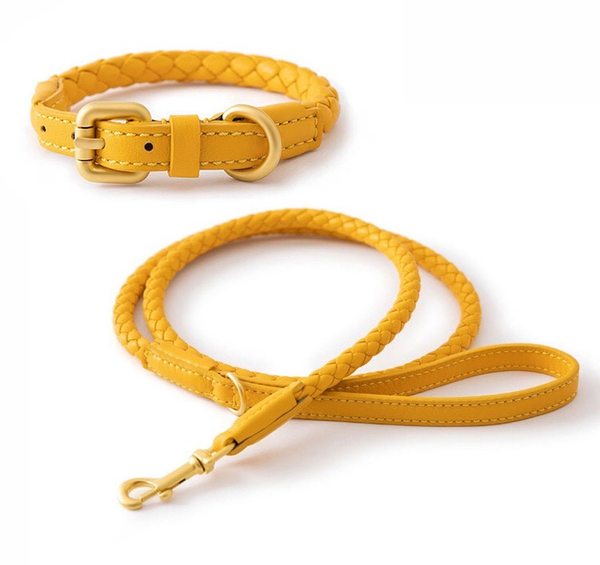PU Leather Hand-woven Dog Collar&Leash Set lovepetin.com