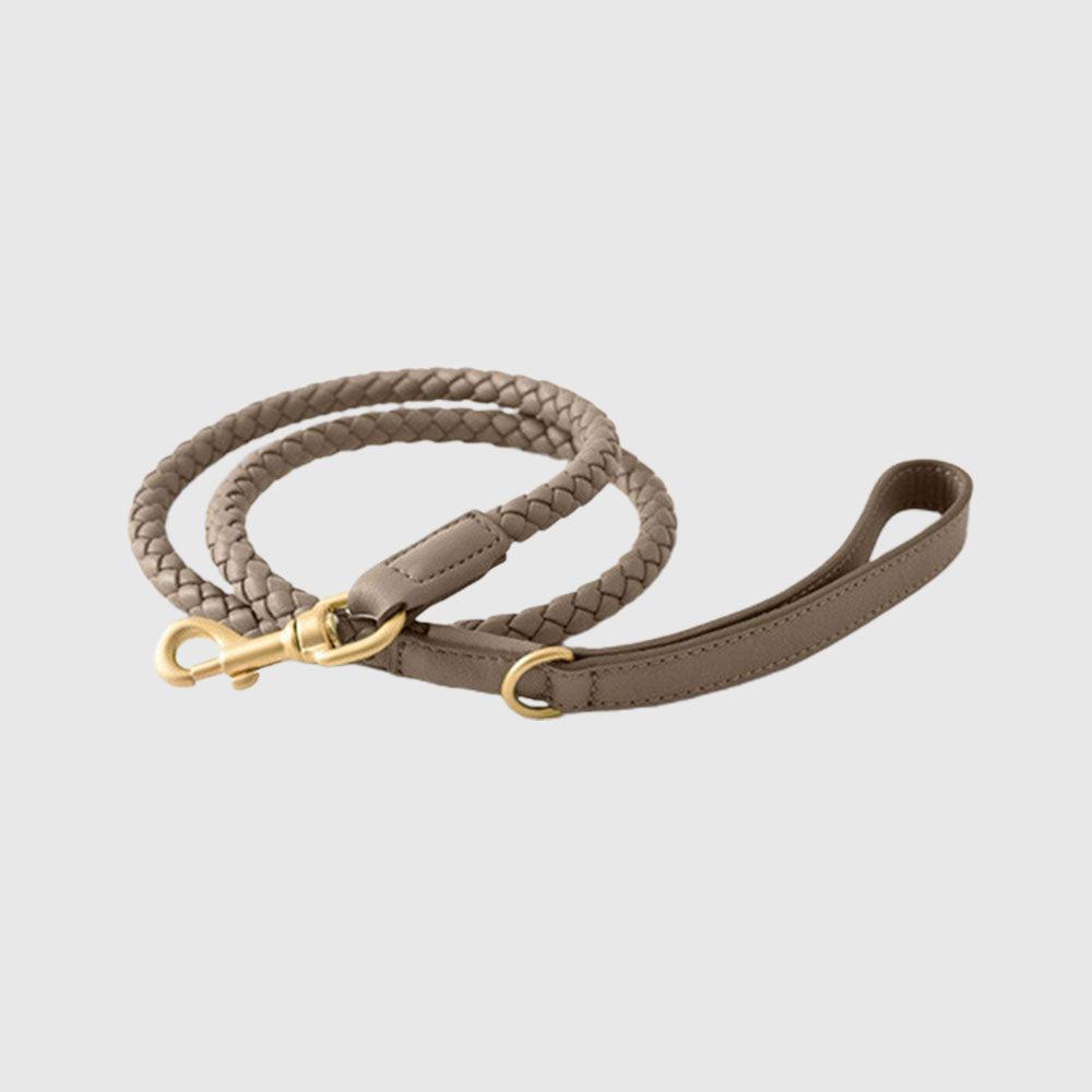 PU Leather Hand-woven Dog Collar&Leash Set lovepetin.com