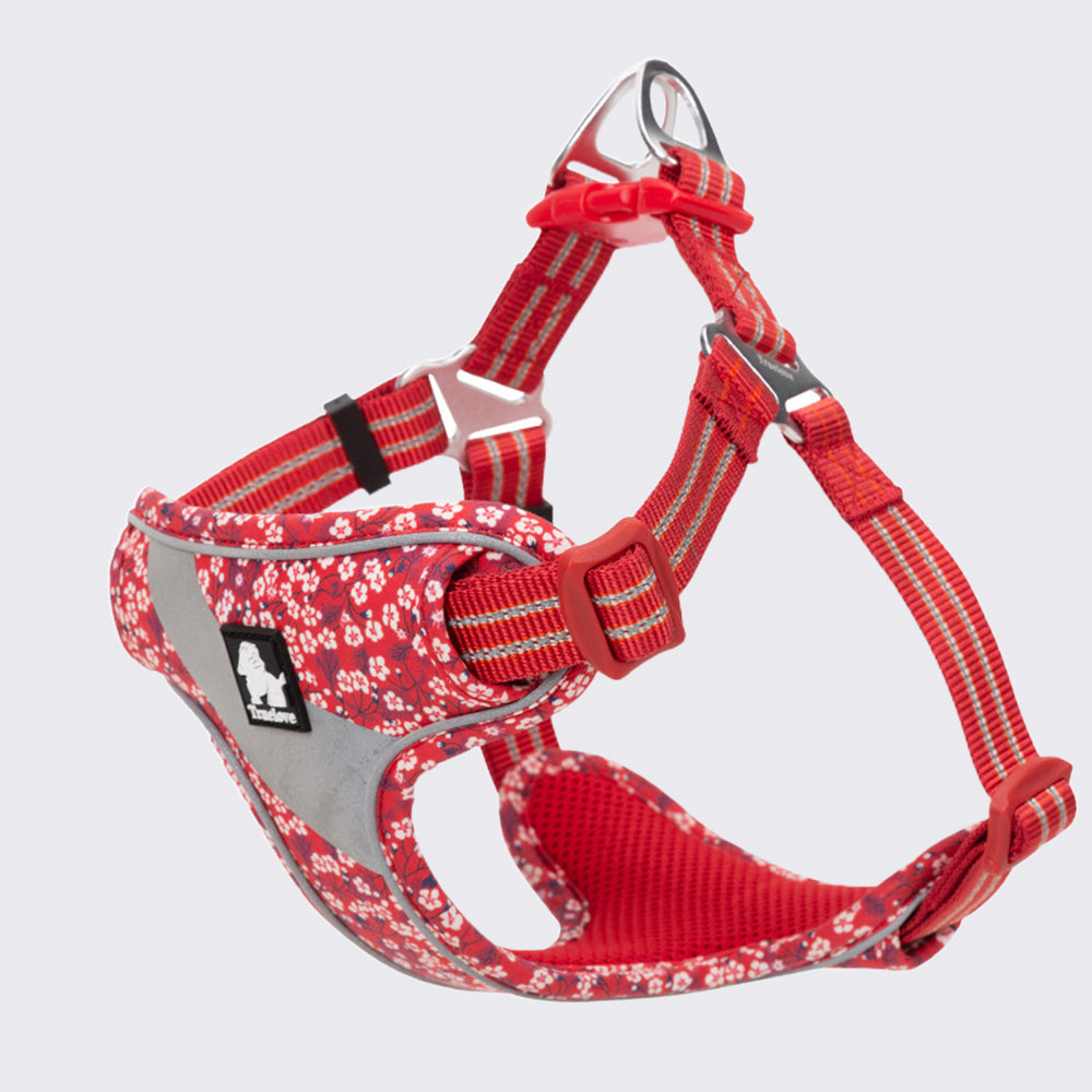 Personalized and Comfortable Dog Harnesses lovepetin.com