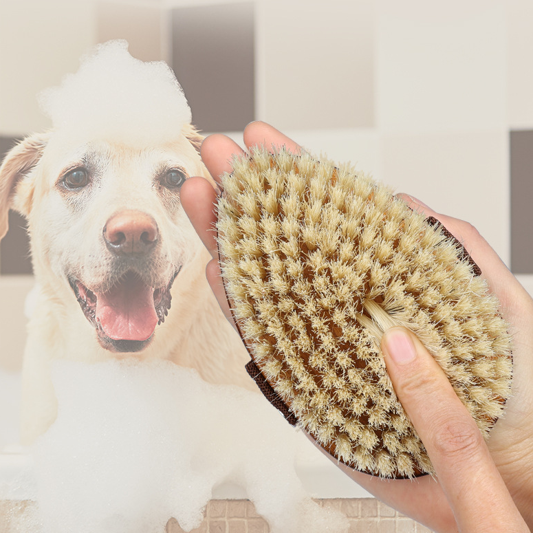 Pet Boar Bristle Bath Brush lovepetin.com