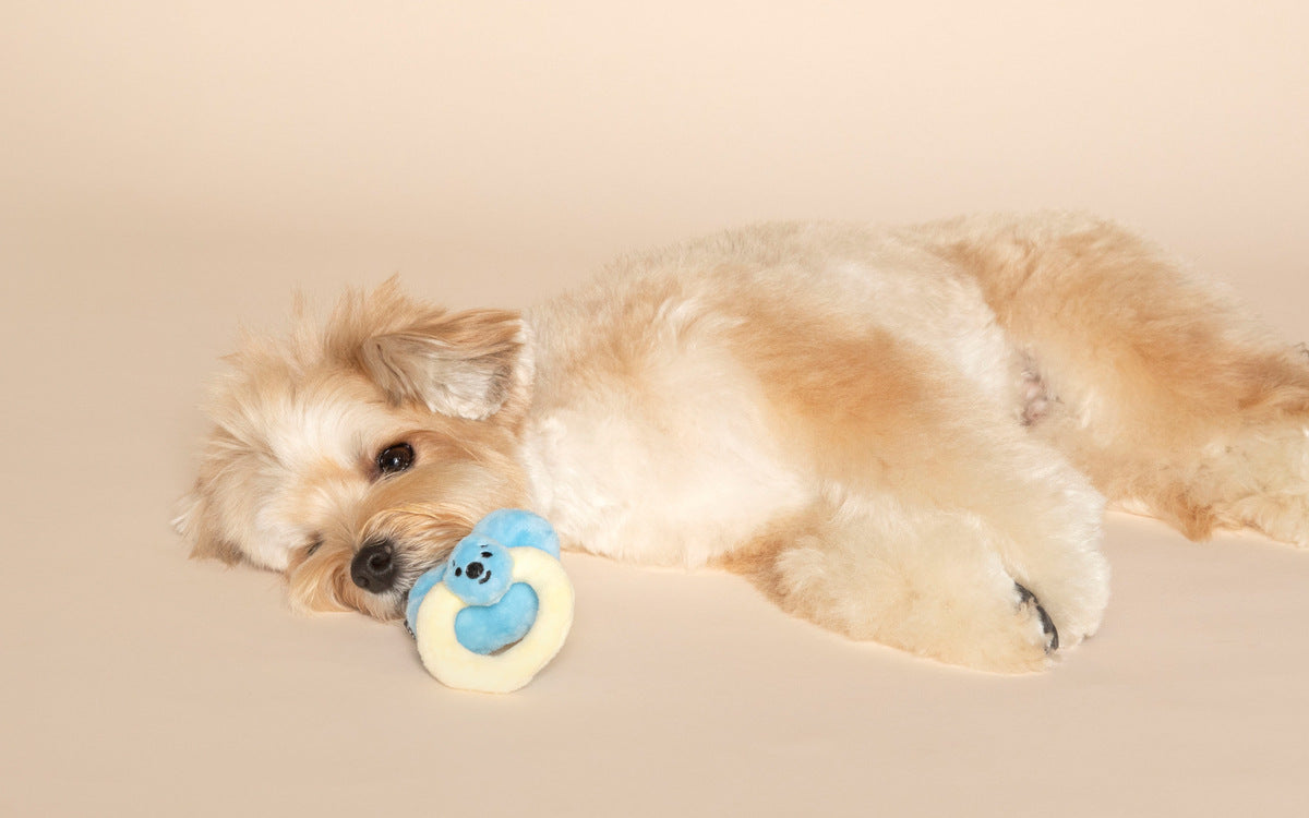 Pet Pacifier Rattle Plush Toy lovepetin.com