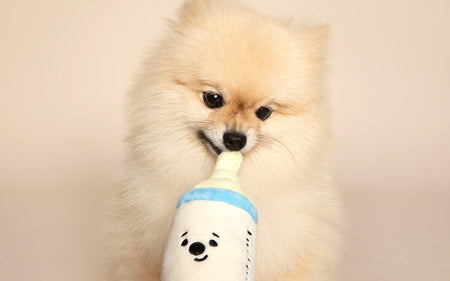 Pet Pacifier Rattle Plush Toy lovepetin.com