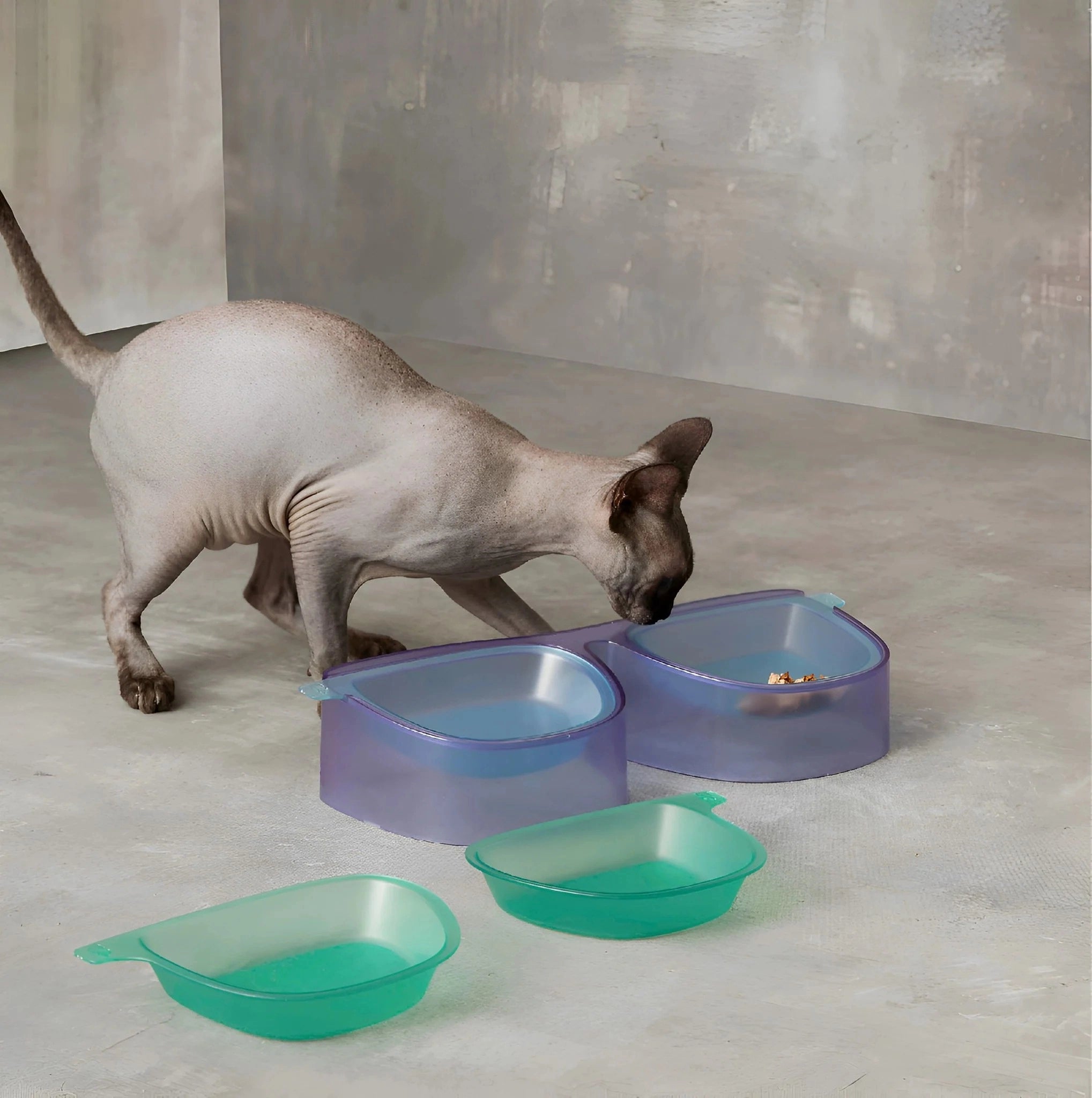 ABS Elevated Pet Bowls 1