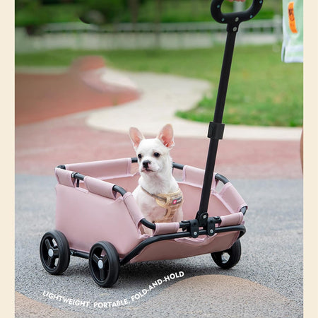 Small Dog Stroller