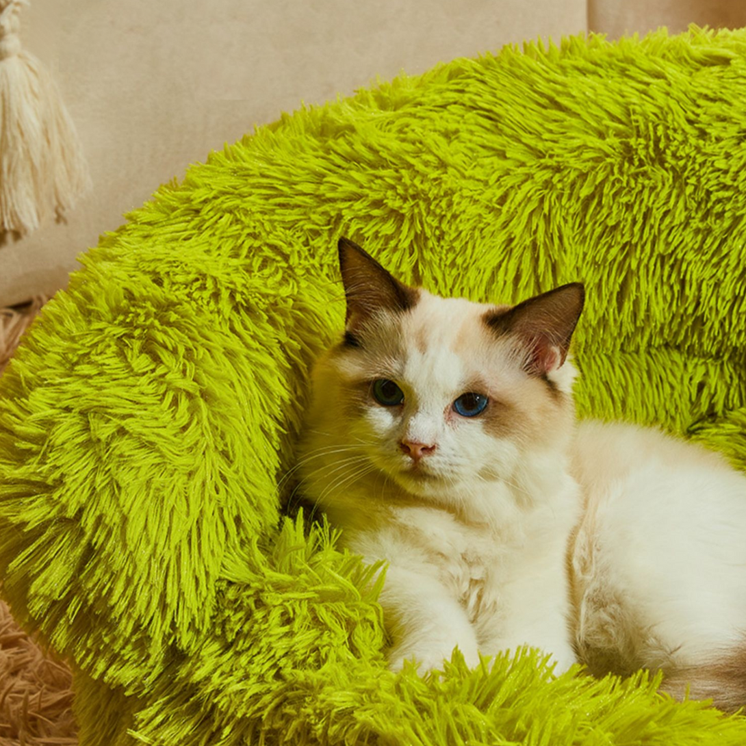 Plush Monster Cat Bed lovepetin.com