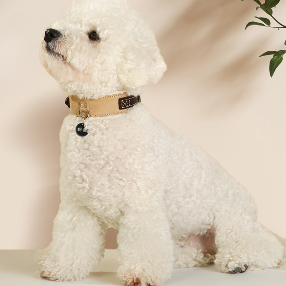 Premium Suede Panel Dog Collar lovepetin.com