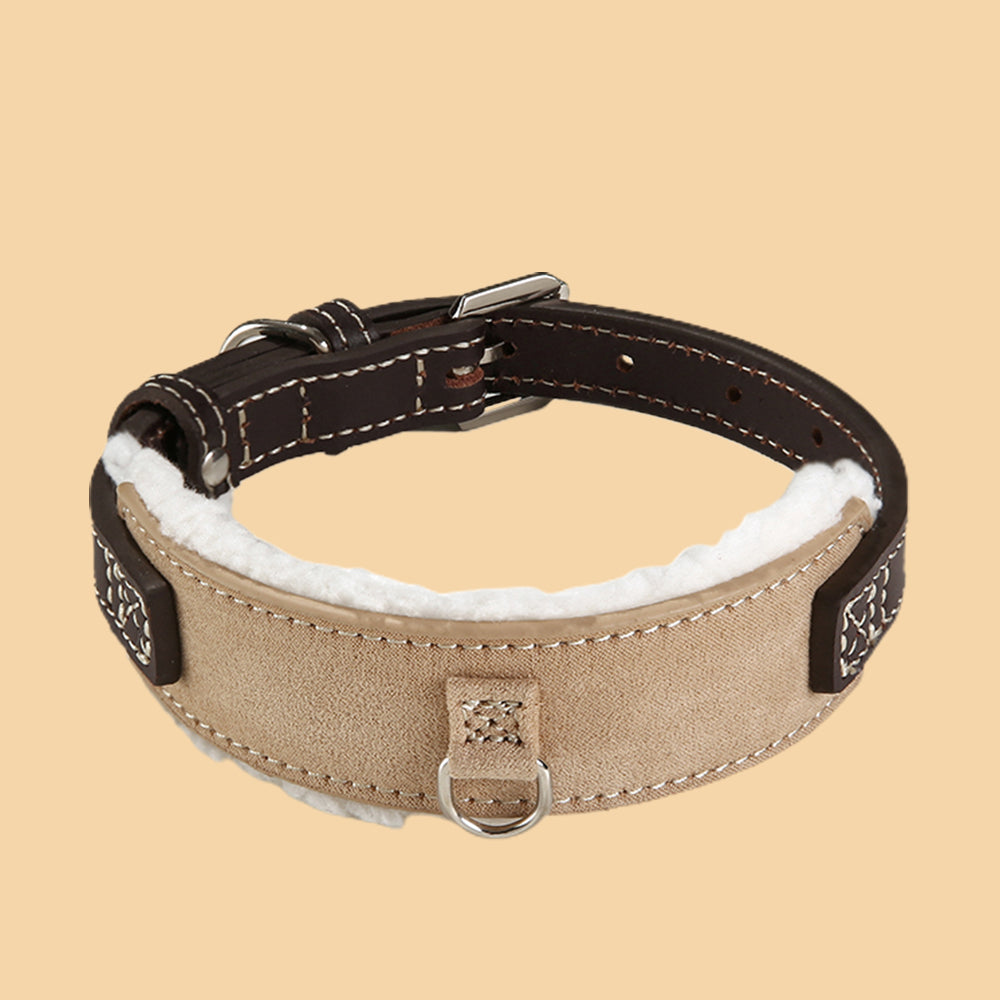 Premium Suede Panel Dog Collar lovepetin.com