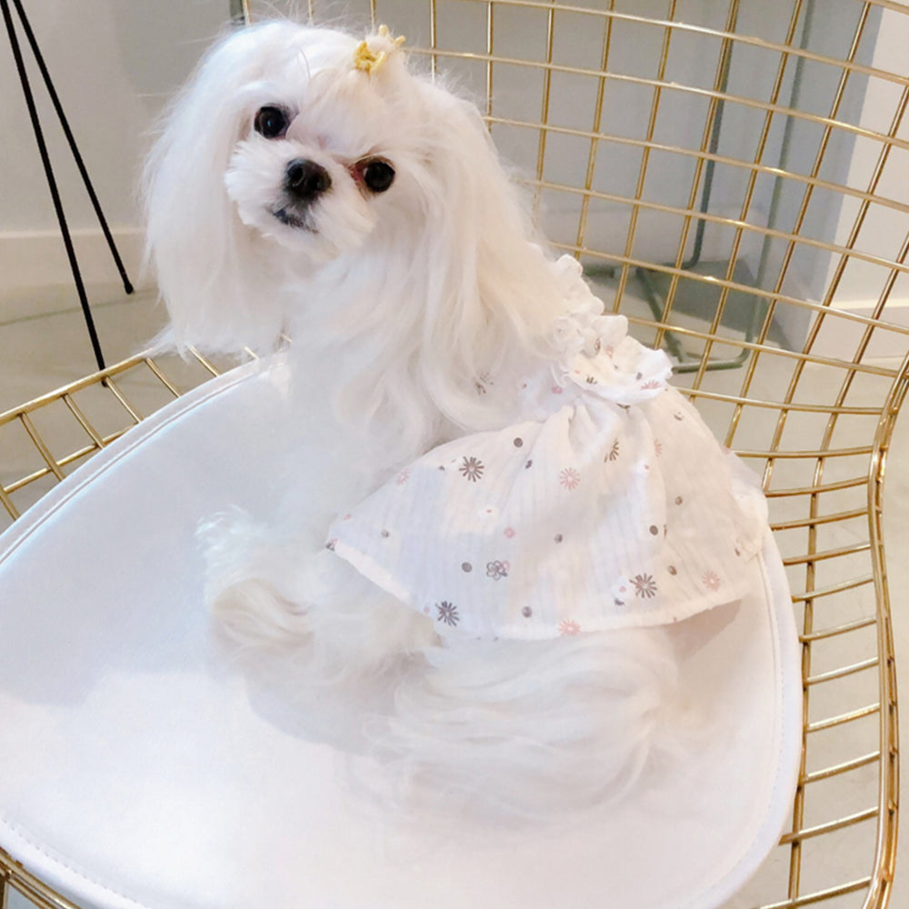 Pure Cotton White Thin Dog Dress lovepetin.com