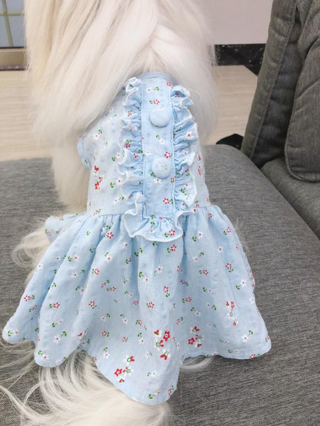 Pure Cotton White Thin Dog Dress lovepetin.com