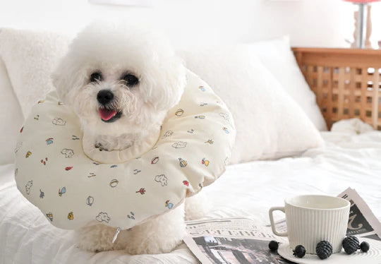 Pure Cotton Printed Pet Cone 2