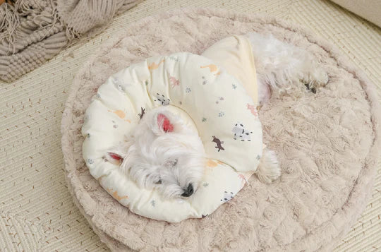 Pure Cotton Printed Pet Cone 4