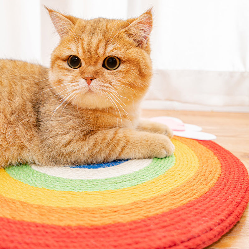 Rainbow Sisal Cat Scratching Board lovepetin.com