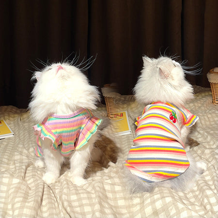 Rainbow Stripe Cat T-shirt lovepetin.com