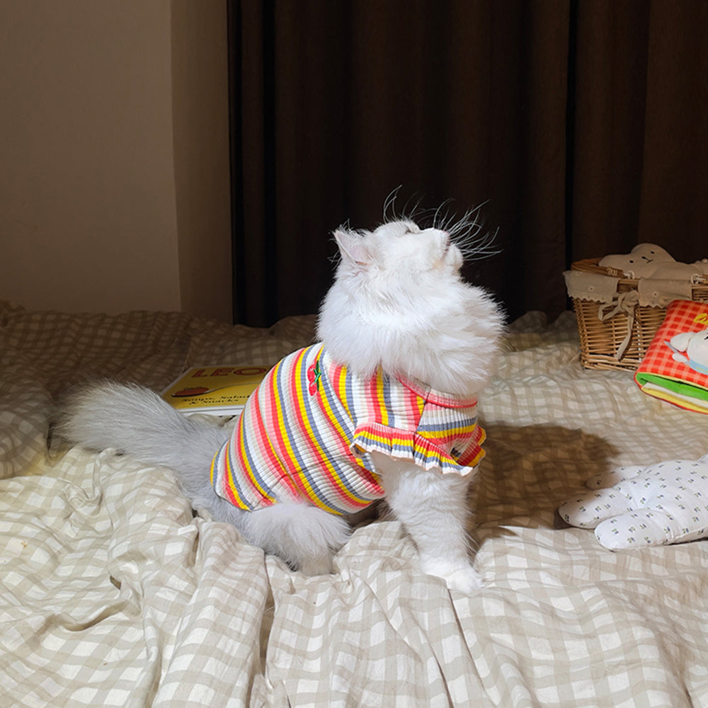 Rainbow Stripe Cat T-shirt lovepetin.com