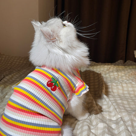 Rainbow Stripe Cat T-shirt lovepetin.com