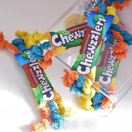 Rainbow Twist Dog Rope Toys