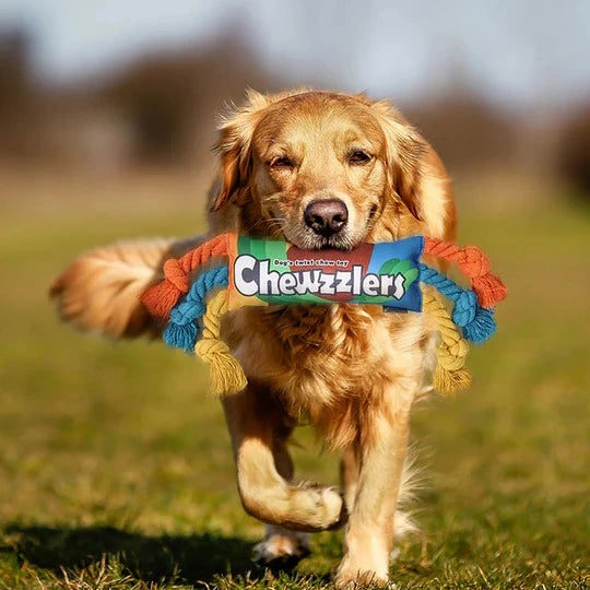 Rainbow Twist Dog Rope Toys 3