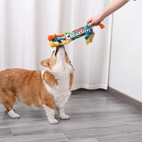 Rainbow Twist Dog Rope Toys 5