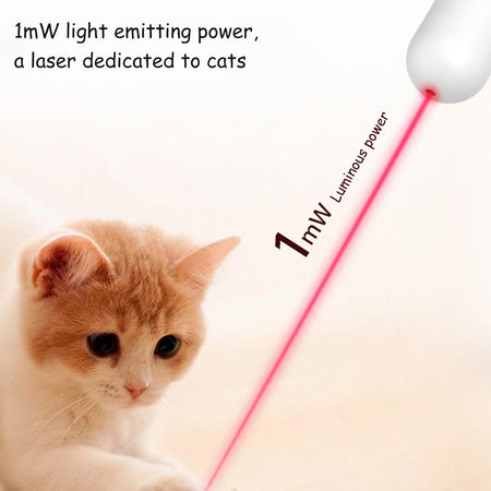 Retractable Ribbon Cat Teaser Toy lovepetin.com