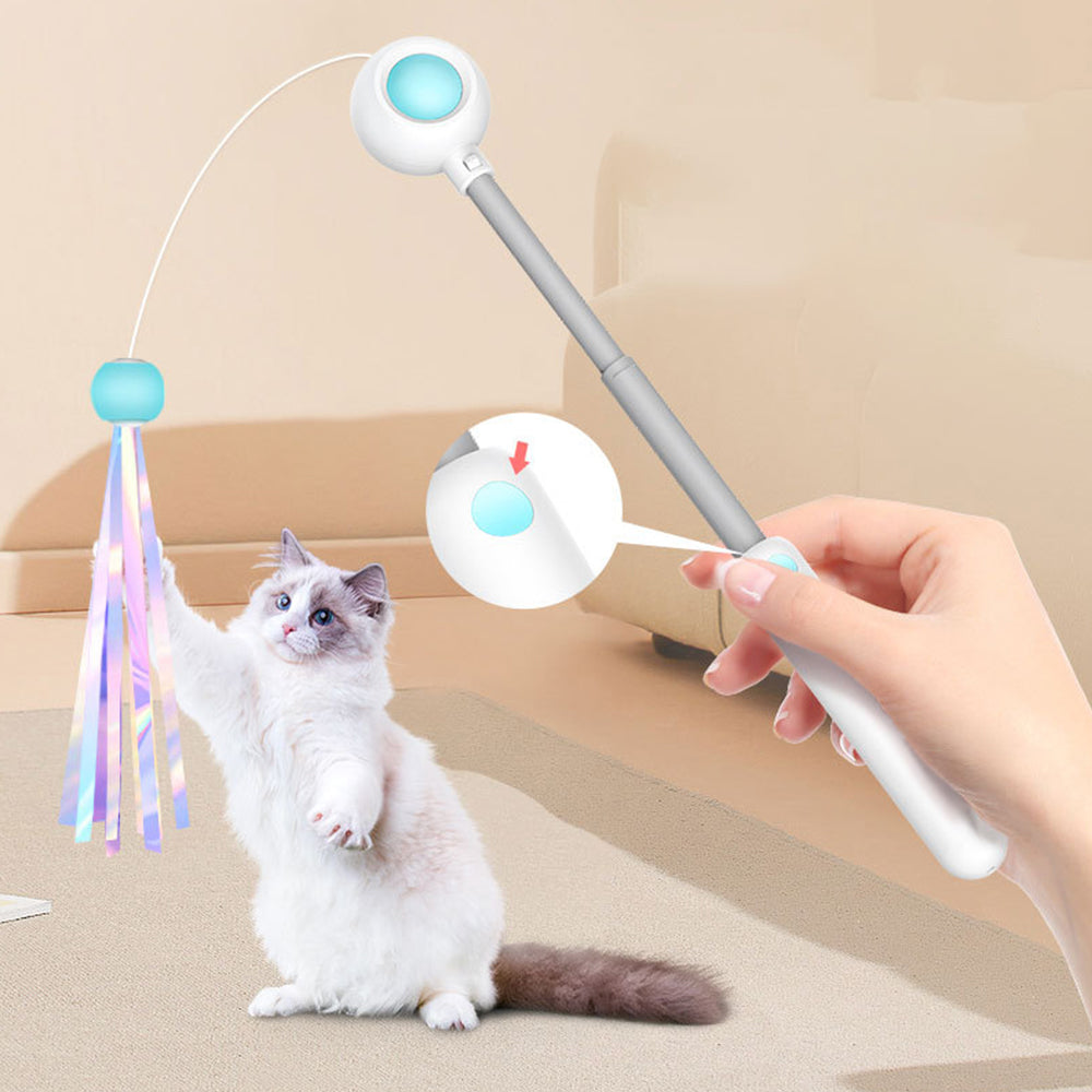 Retractable Ribbon Cat Teaser Toy lovepetin.com