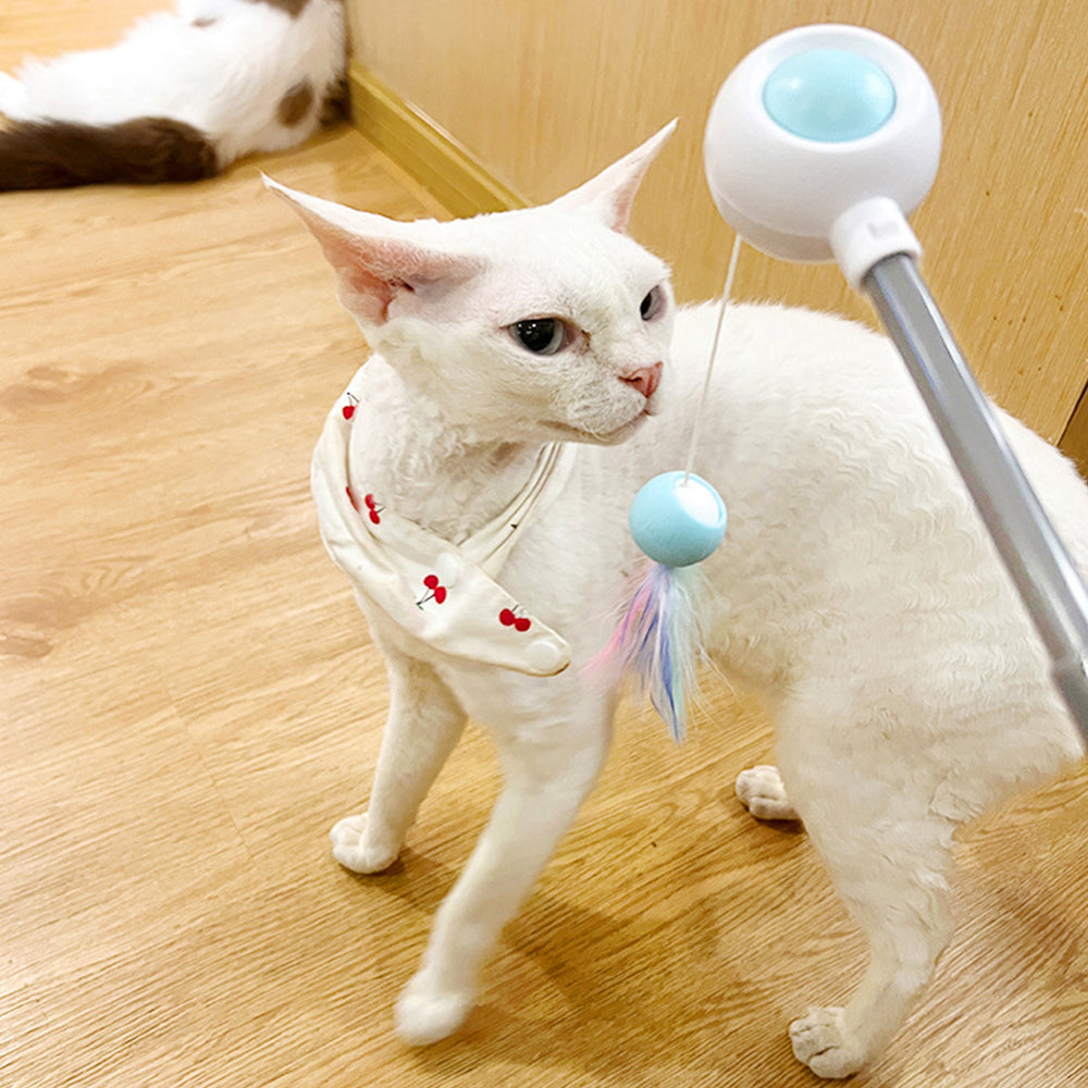 Retractable Ribbon Cat Teaser Toy lovepetin.com