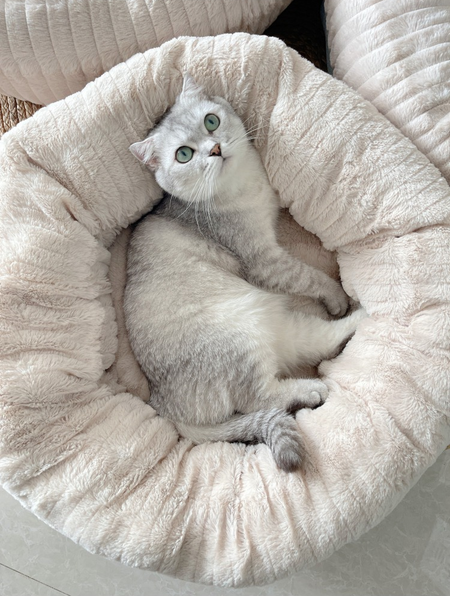 Round Shape Corduroy Dog Bed lovepetin.com