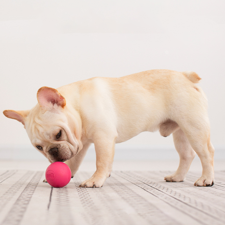 Rubber Solid Interactive Dog Ball Toys lovepetin.com