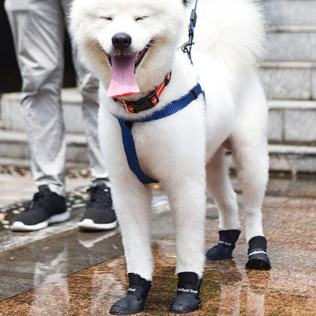 Silicone Waterproof Dog Rain Shoes lovepetin.com