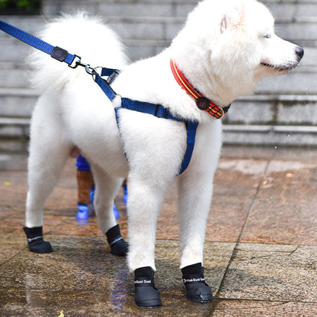 Silicone Waterproof Dog Rain Shoes lovepetin.com