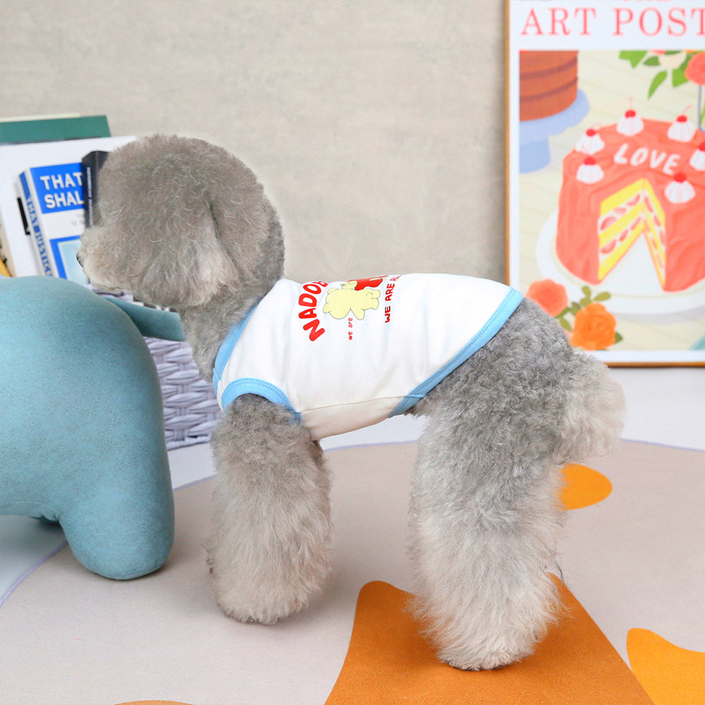 Simple Style Three Bears Cat T-shirt lovepetin.com