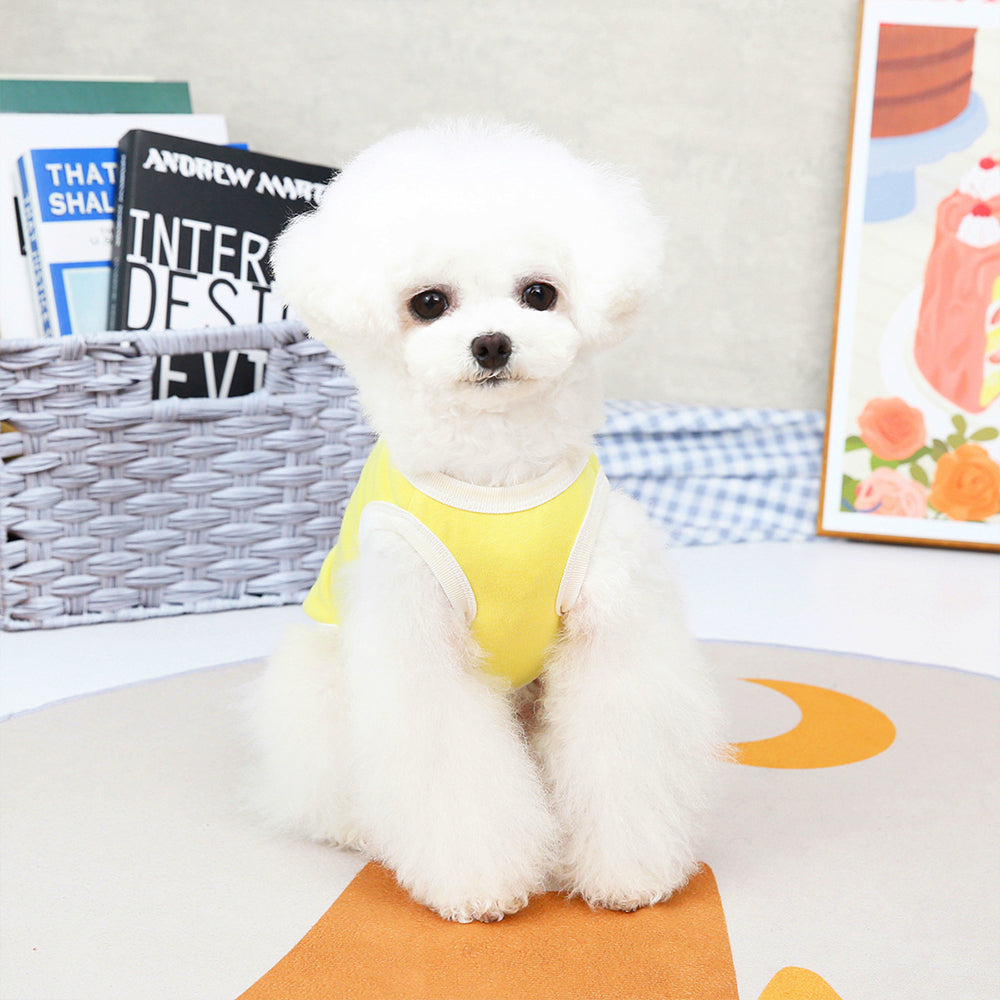 Simple Style Three Bears Cat T-shirt lovepetin.com