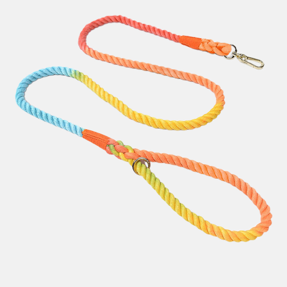 Six-strand Rope Hand-woven Flexible and Durable Dog Leashes lovepetin.com