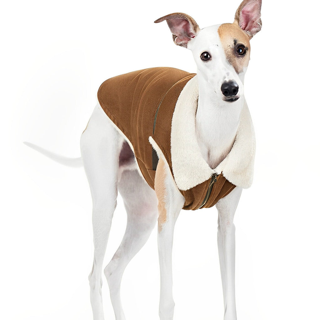 Sniff Suede Fabric Dog Jacket lovepetin.com