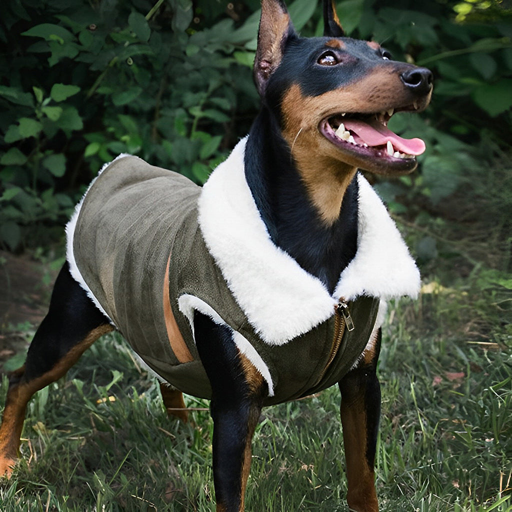 Sniff Suede Fabric Dog Jacket lovepetin.com