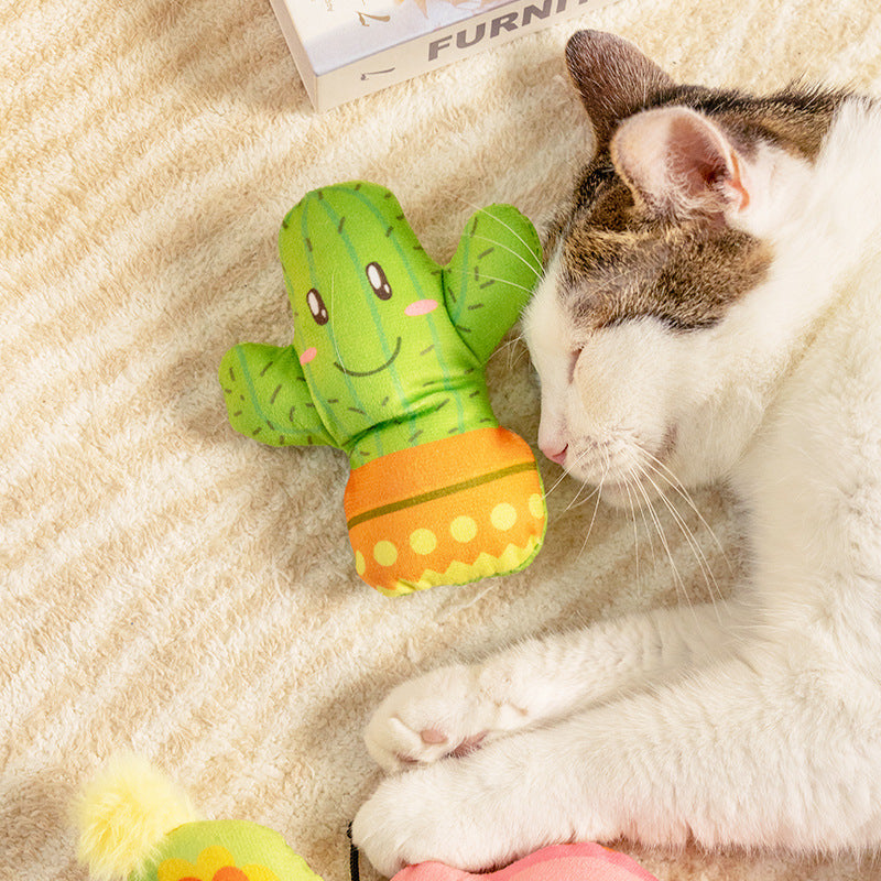 Spring Series Cat Toys lovepetin.com