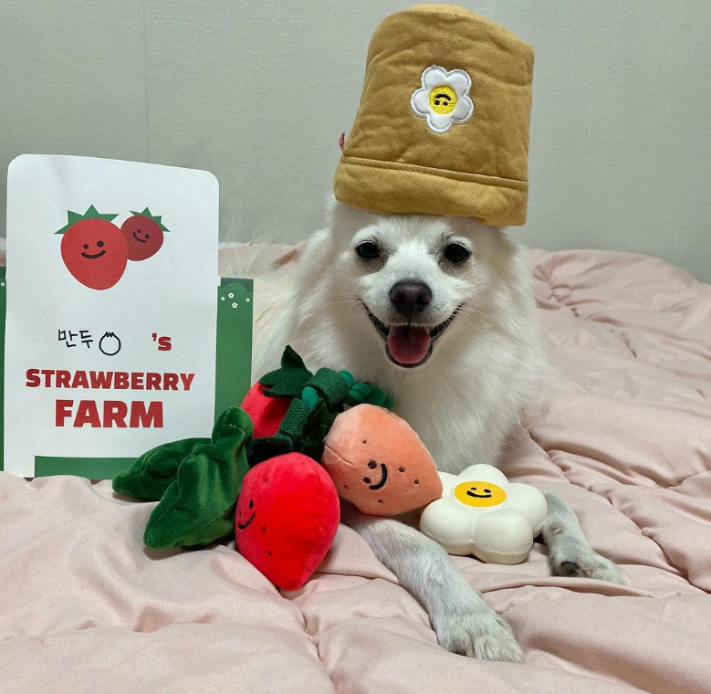 Strawberry Potted Hiding and Sniffing Plush Toys lovepetin.com