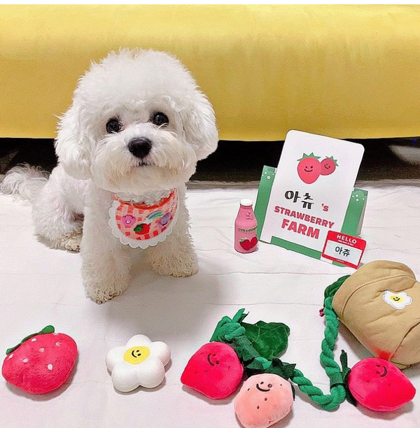 Strawberry Potted Hiding and Sniffing Plush Toys lovepetin.com