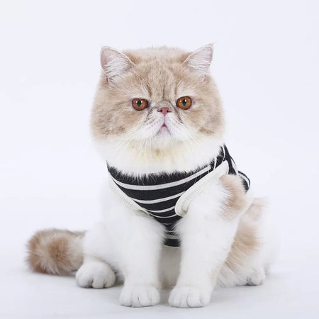 Striped Knitted Cat T-shirt lovepetin.com