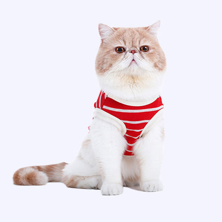 Striped Knitted Cat T-shirt lovepetin.com