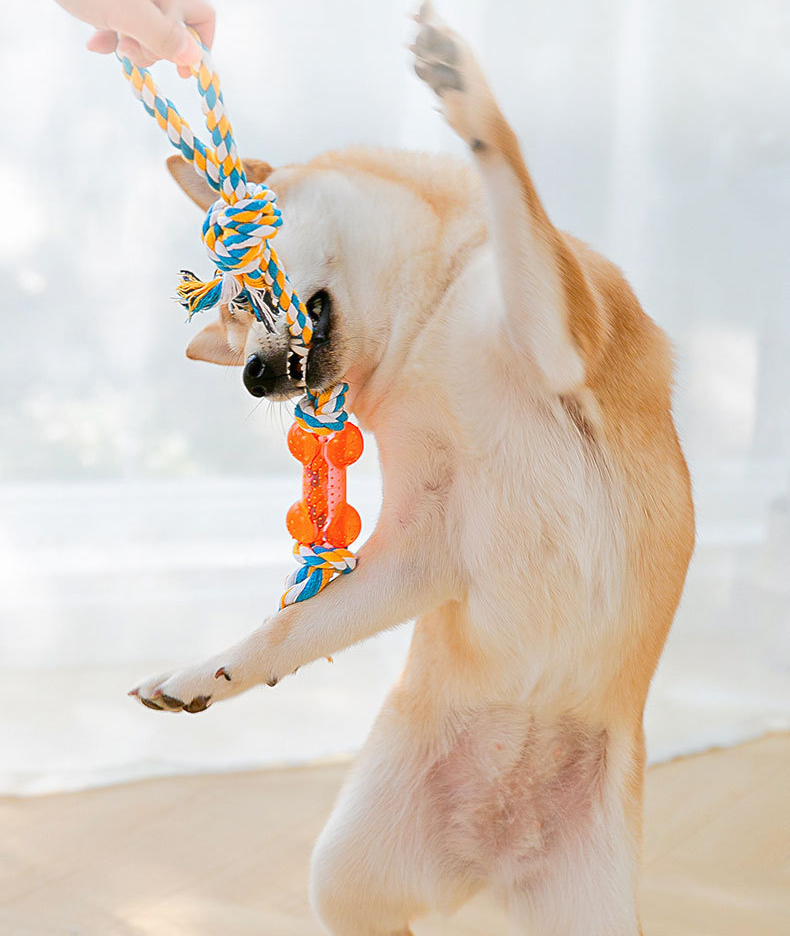 Strudy and Bite-resistant Plastic Material Rope Toy lovepetin.com