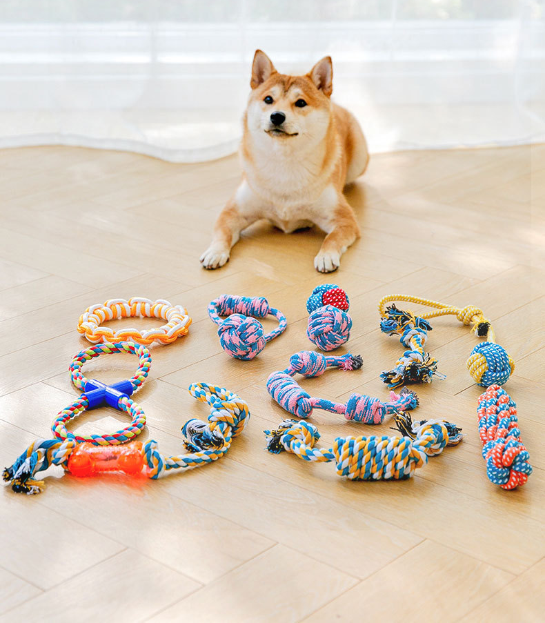 Strudy and Bite-resistant Plastic Material Rope Toy lovepetin.com