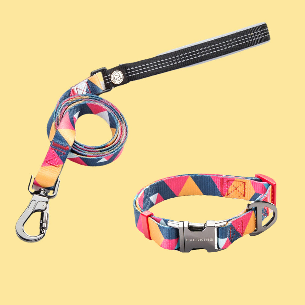 Stylish Thickened Dog Collar&Leash Set lovepetin.com
