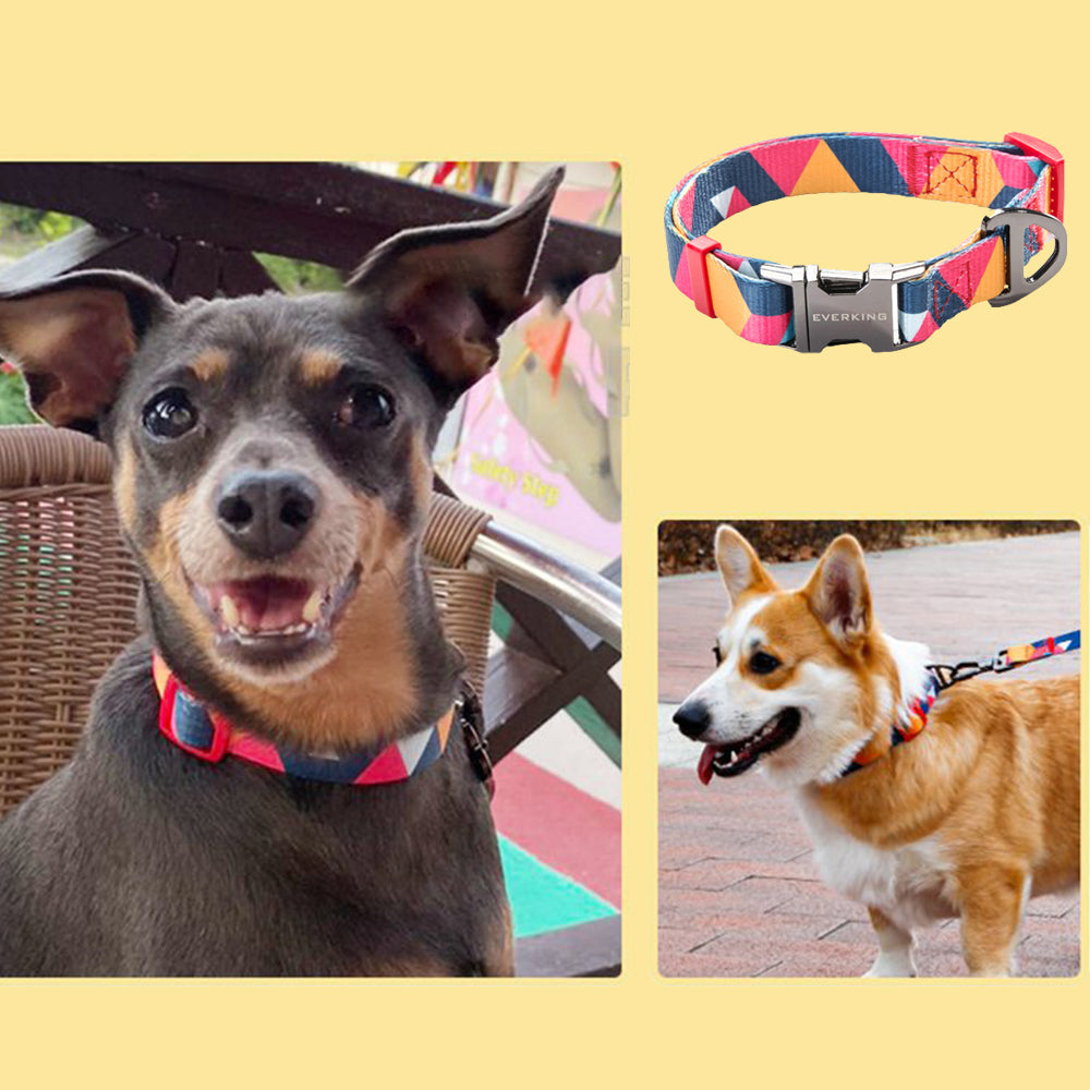 Stylish Thickened Dog Collar&Leash Set lovepetin.com