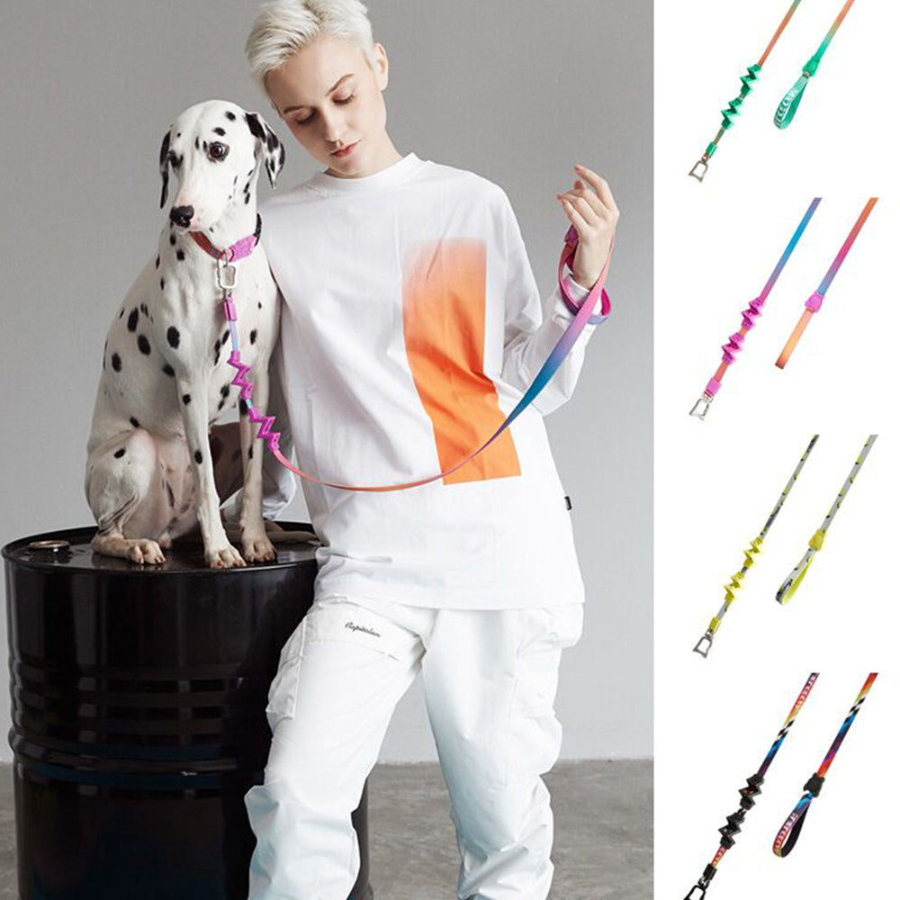 Stylish with Detachable Design Dog Leashes lovepetin.com