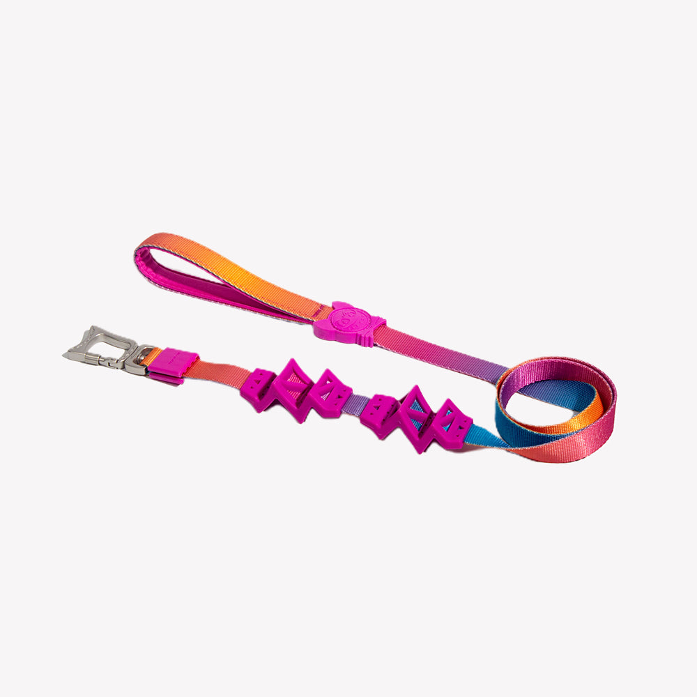 Stylish with Detachable Design Dog Leashes lovepetin.com